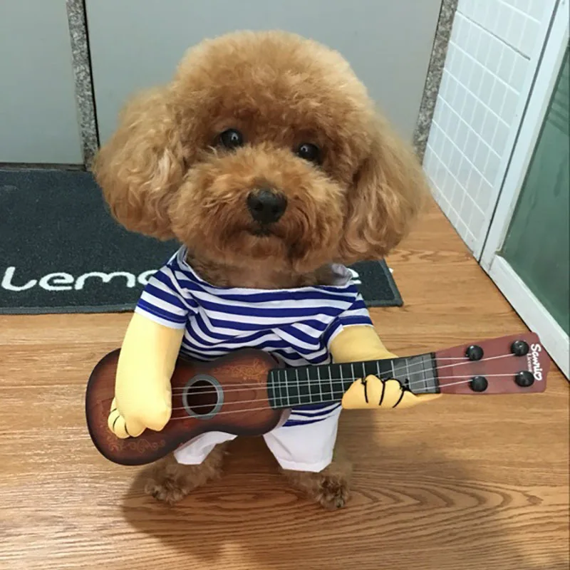 KIMHOME PET одежда для собак для маленьких собак интересный одежда-для-собак гитарист Ролевая игра Осень и зима чихуахуа пальто Французский бульдог одежда для животных Подходит для собак и кошек среднего размера S-XL
KIMHOME PET одежда для собак для маленьких собак интересный одежда-для-собак гитарист Ролевая игра Осень и зима чихуахуа пальто Французский бульдог одежда для животных Подходит для собак и кошек среднего размера S-XL