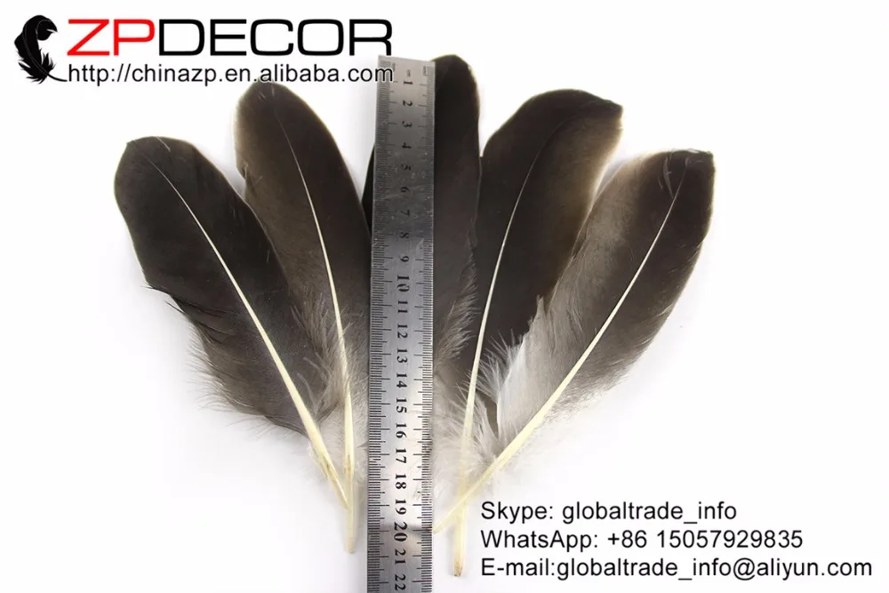 ZPDECOR 15-20cm(6-8inch) 50pieces/lot New Natural Grey Goose Feathers plume Feathers For DIY and Costumes Decoration
ZPDECOR 15-20cm(6-8inch) 50pieces/lot New Natural Grey Goose Feathers plume Feathers For DIY and Costumes Decoration