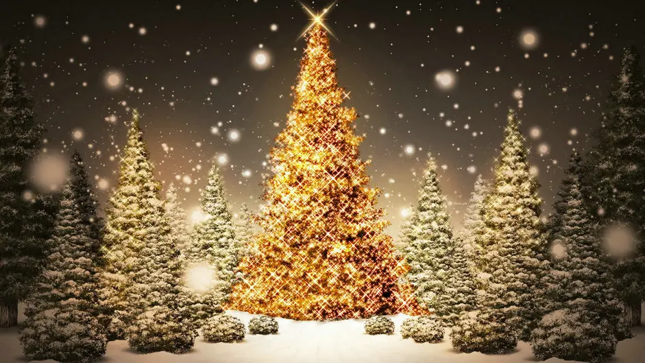 holiday christmas tree decorations winter snow background High quality Computer print party backdrops
holiday christmas tree decorations winter snow background High quality Computer print party backdrops