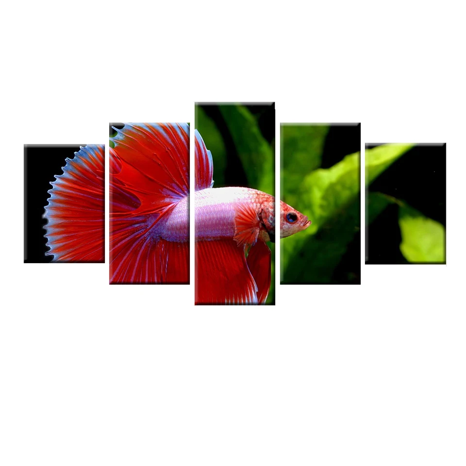HD Print Canvas Wall Art Living Room Home Decoration Painting 5 Panel Water Horsetail Fish Animal Poster Frame
HD Print Canvas Wall Art Living Room Home Decoration Painting 5 Panel Water Horsetail Fish Animal Poster Frame