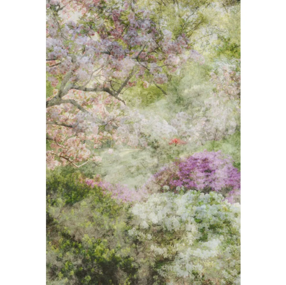 Laeacco Photo Backdrops Watercolor Blossom Flowers Mural Home Decor Baby Portrait Photography Backgrounds Photocall Photo Studio
Laeacco Photo Backdrops Watercolor Blossom Flowers Mural Home Decor Baby Portrait Photography Backgrounds Photocall Photo Studio