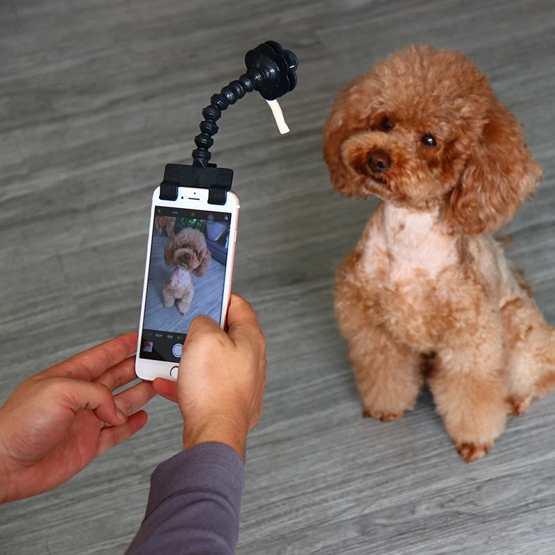 Pet селфи палка для домашних животных собака кошка подходят большинства