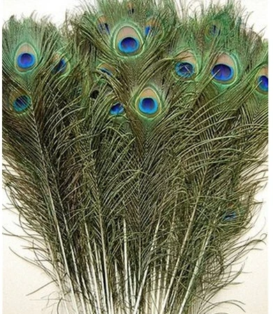 Wholesale Price! 100pcs/lot, length about about 25-30cm,beautiful natural peacock feather! 003002001
Wholesale Price! 100pcs/lot, length about about 25-30cm,beautiful natural peacock feather! 003002001