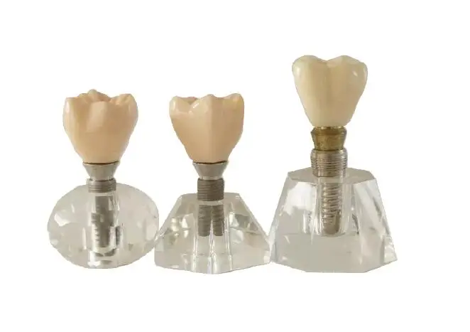 Medical Science tooth model Transparent crystal implant models Removable implant free shipping
Medical Science tooth model Transparent crystal implant models Removable implant free shipping