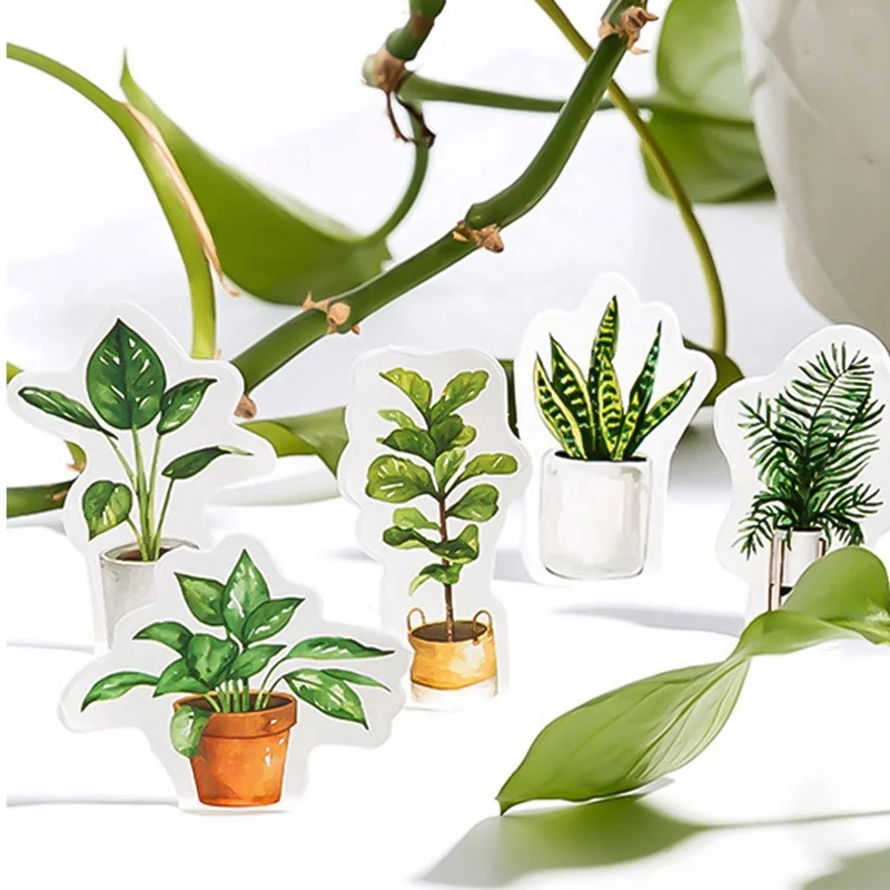 Green plants Paper Small Diary Mini Japanese Cute box Stickers set Scrapbooking Cute Flakes Journal Stationery
Green plants Paper Small Diary Mini Japanese Cute box Stickers set Scrapbooking Cute Flakes Journal Stationery
