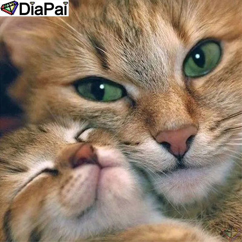 DiaPai Diamond Painting 5D DIY 100% Full Square/Round Drill "Animal cat" Diamond Embroidery Cross Stitch 3D Decor A24561
DiaPai Diamond Painting 5D DIY 100% Full Square/Round Drill "Animal cat" Diamond Embroidery Cross Stitch 3D Decor A24561