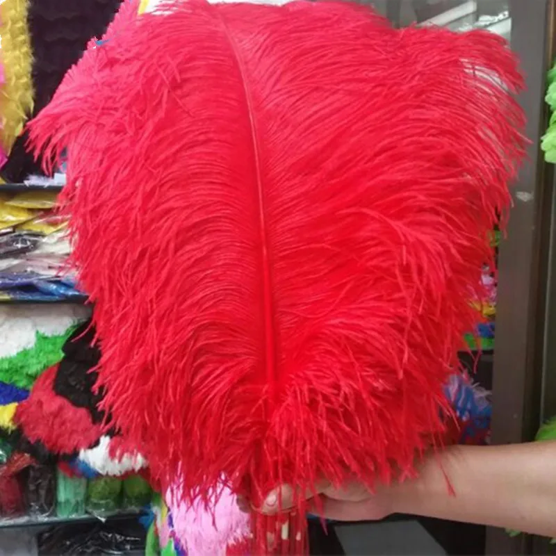 Best-selling! 100 PCS pretty 55-60 cm/22-24 inches red ostrich feathers plume artware performing decorations
Best-selling! 100 PCS pretty 55-60 cm/22-24 inches red ostrich feathers plume artware performing decorations