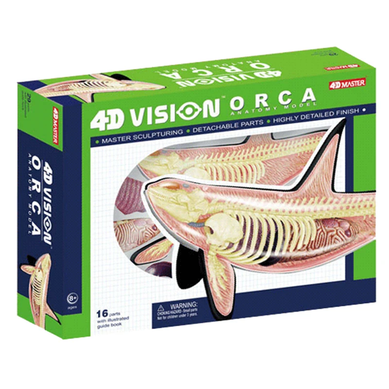 4D Whale Intelligence Assembling Toy Animal Organ Anatomy Model Medical Teaching DIY Popular Science Appliances
4D Whale Intelligence Assembling Toy Animal Organ Anatomy Model Medical Teaching DIY Popular Science Appliances
