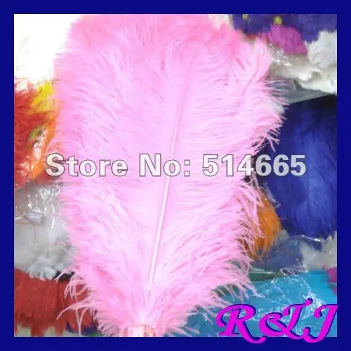 EMS Free shipping Wholesale 50PCS 60-65cm 24-26 inches pink single OSTRICH FEATHER real ostrich drab feathers
EMS Free shipping Wholesale 50PCS 60-65cm 24-26 inches pink single OSTRICH FEATHER real ostrich drab feathers