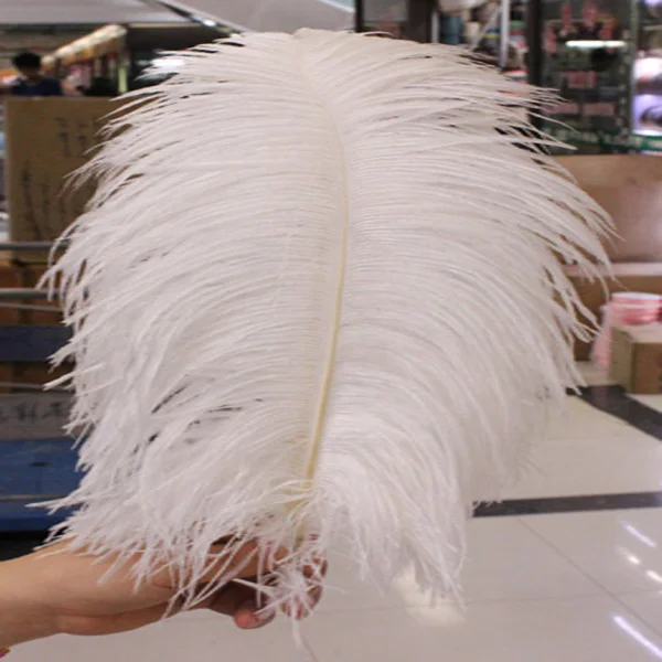 Hot! Free shipping manufacturers selling 50 PCS white ostrich feathers 10-12inches/25-30cm
Hot! Free shipping manufacturers selling 50 PCS white ostrich feathers 10-12inches/25-30cm