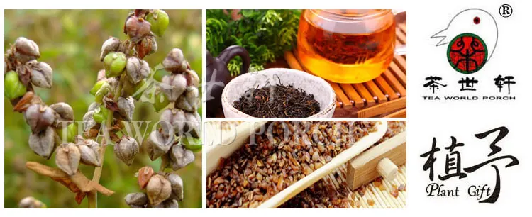 3g*10pcs Buckwheat Pu'er Triangle Creative Health Puer Skin Care Mask DIY Raw Materials Tea Bag Remove Dark Circles
3g*10pcs Buckwheat Pu'er Triangle Creative Health Puer Skin Care Mask DIY Raw Materials Tea Bag Remove Dark Circles