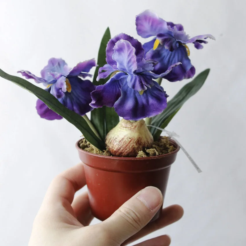 Minir Artificial Bonsai Iris Silk Flowers Bonsai Plants Artificial Flowe for Wedding Home Party Decorative
Minir Artificial Bonsai Iris Silk Flowers Bonsai Plants Artificial Flowe for Wedding Home Party Decorative