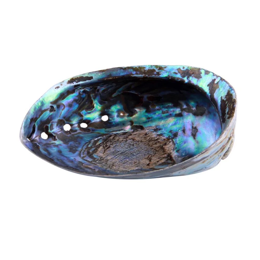 Яйе 1 шт. Aabalone ракушки для размазывания натуральной морской раковины домашнее