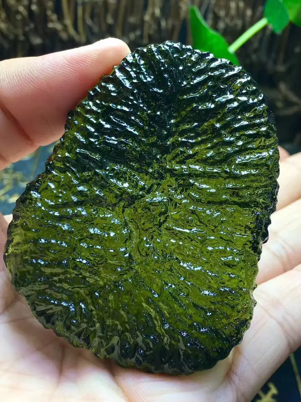 Natural Czekh Meteorite Original Shi Diaozhui Specifications : 65*52*14mm About Serious : 82g About
Natural Czekh Meteorite Original Shi Diaozhui Specifications : 65*52*14mm About Serious : 82g About
