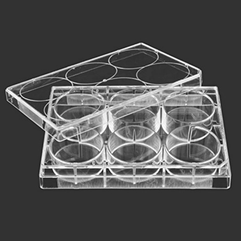 5pcs/lot Laboratory analysis Disposable Plastic Polystyrene Petri Dishs 6 well,Sterile
5pcs/lot Laboratory analysis Disposable Plastic Polystyrene Petri Dishs 6 well,Sterile
