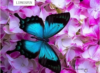 5D поделки алмазов картина цветы и бабочки Вышивка вышивки крестом полный площадь Смола горный хрусталь Домашний Декор 
5D поделки алмазов картина цветы и бабочки Вышивка вышивки крестом полный площадь Смола горный хрусталь Домашний Декор