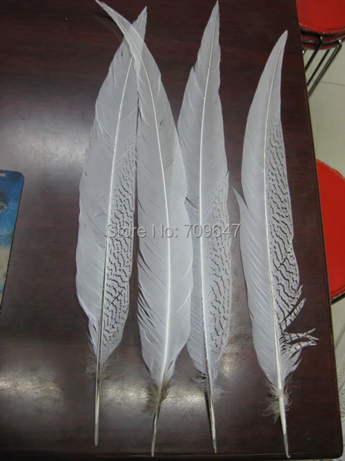 50Pcs/lot!SILVER PHEASANT Tail Feathers 22-24" 55-60cm Tail Craft/Pad/Costume/Hat,Pheasant Feathers,Feather Top
50Pcs/lot!SILVER PHEASANT Tail Feathers 22-24" 55-60cm Tail Craft/Pad/Costume/Hat,Pheasant Feathers,Feather Top