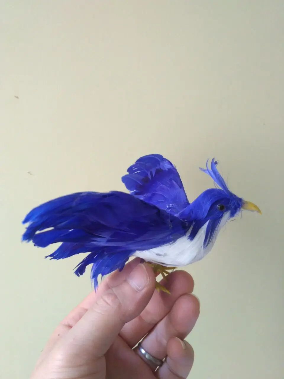 about 12x15cm blue feathers spreading wings bird model,foam&feathers handicraft, garden decoration,gift d0999
about 12x15cm blue feathers spreading wings bird model,foam&feathers handicraft, garden decoration,gift d0999