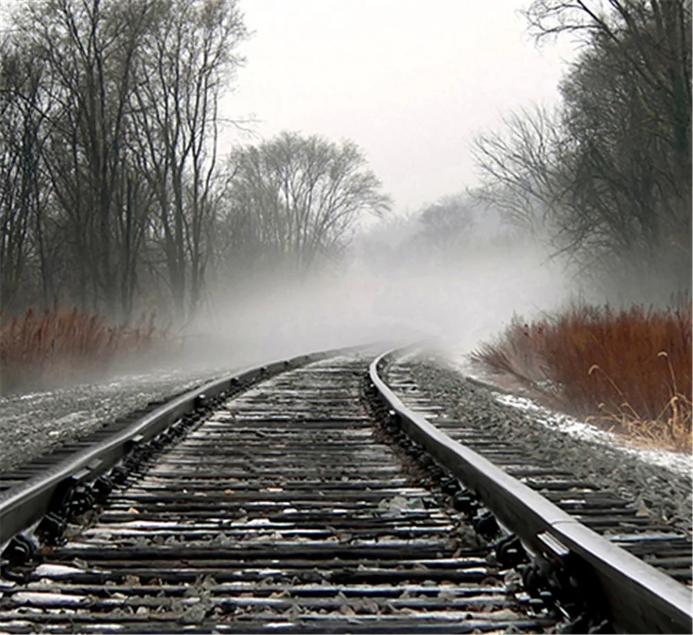 Photographic Camera Backdrop 5x7 Railway Foggy Woods For Wedding Photo Shoots Real Professional Camera Photo Studio Background
Photographic Camera Backdrop 5x7 Railway Foggy Woods For Wedding Photo Shoots Real Professional Camera Photo Studio Background