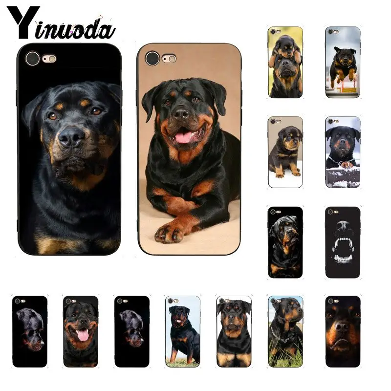 Black Rottweiler dog puppies Soft Silicone Phone Case Cover for iphone 13 8 7 6 6S Plus 5 5S SE XR X XS MAX Coque Shell
Black Rottweiler dog puppies Soft Silicone Phone Case Cover for iphone 13 8 7 6 6S Plus 5 5S SE XR X XS MAX Coque Shell