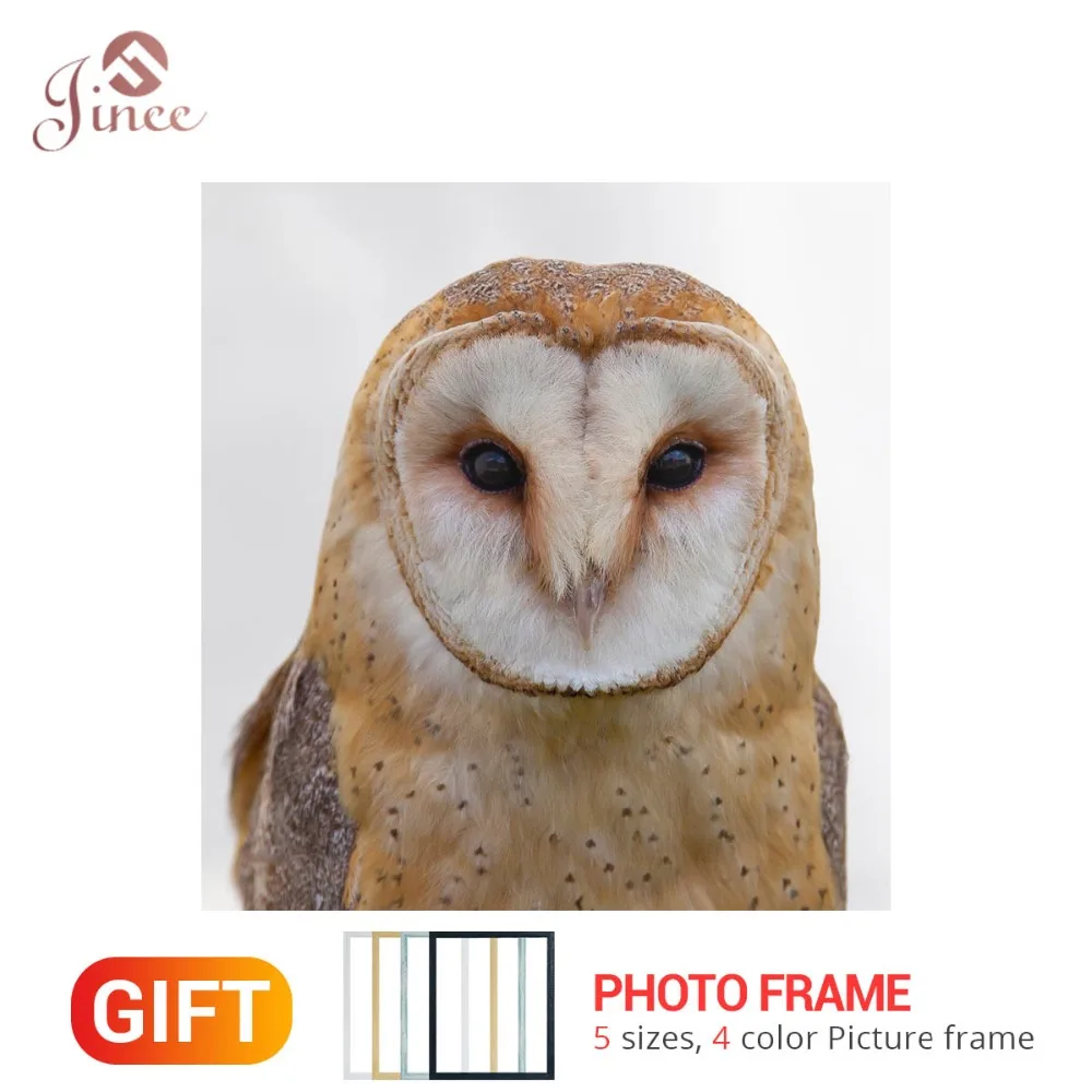 5D Diamond Painting Animal Bird Owl Diamond Embroidery Cross Stitch Full Mosaic Needlework Home Decor Round Children's Gift
5D Diamond Painting Animal Bird Owl Diamond Embroidery Cross Stitch Full Mosaic Needlework Home Decor Round Children's Gift