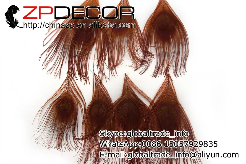 ZPDECOR 50pcs/lot 10-12cm(4-5 inch) Bleached And Dyed Beautiful Brown Trimmed Peacock Tail Feather Eye Plumage
ZPDECOR 50pcs/lot 10-12cm(4-5 inch) Bleached And Dyed Beautiful Brown Trimmed Peacock Tail Feather Eye Plumage