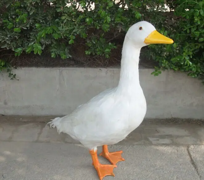 big Simulation geese toy polyethylene&furs white geese model gift about 45*20*55cm y0086
big Simulation geese toy polyethylene&furs white geese model gift about 45*20*55cm y0086