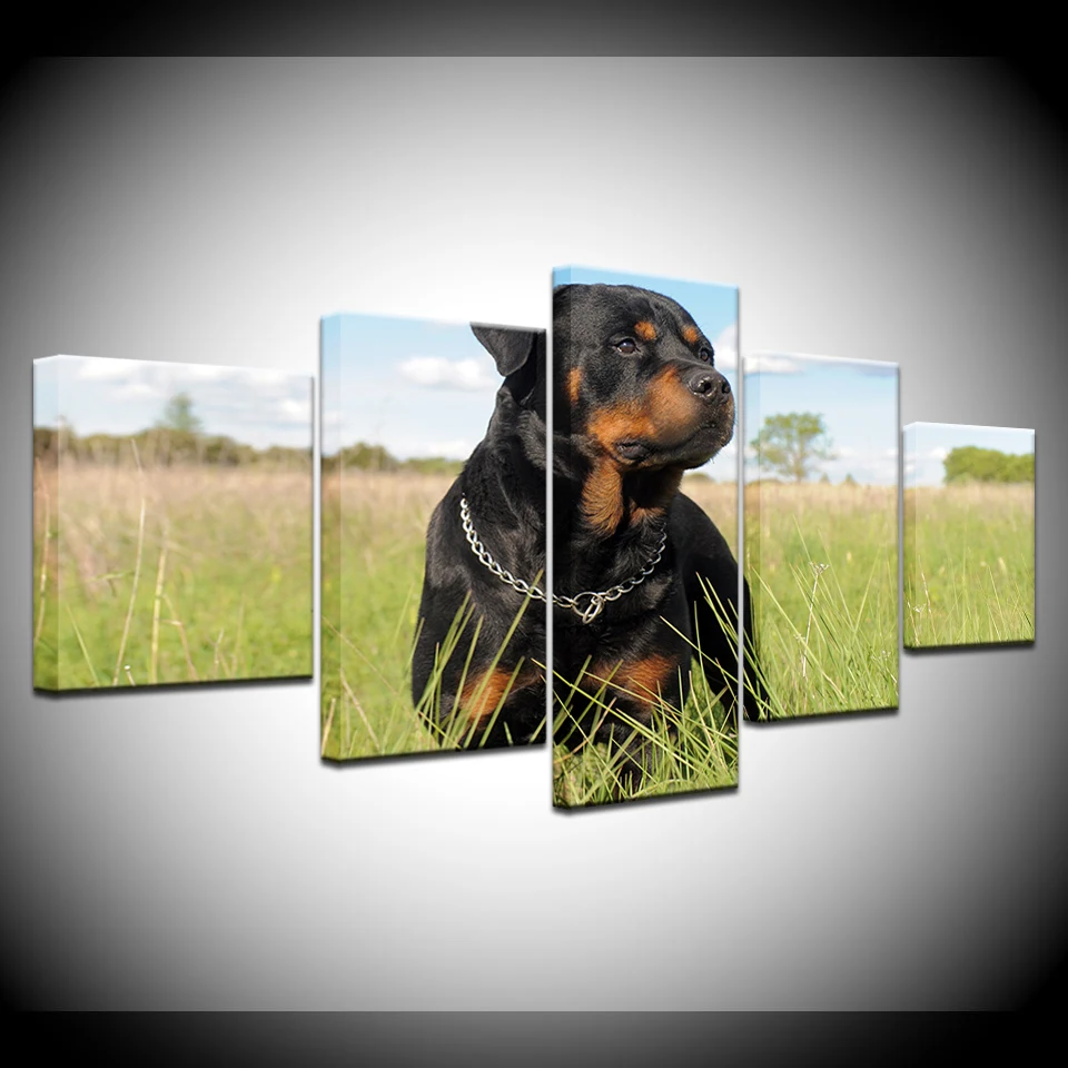 5 Piece HD Printed Canvas Art German Shepherd Dog Painting Framed Wall Pictures For Living Room Bedroom Decor Free Shipping
5 Piece HD Printed Canvas Art German Shepherd Dog Painting Framed Wall Pictures For Living Room Bedroom Decor Free Shipping