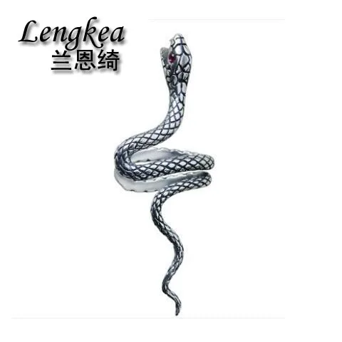 Lengkea jewelry,fashion 925 silver earrings clip earring no pierced snake pattern earrings boys girls nightclub accessories,gift
Lengkea jewelry,fashion 925 silver earrings clip earring no pierced snake pattern earrings boys girls nightclub accessories,gift