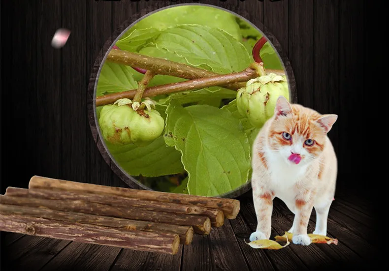 5 шт. кошка чистки зубов чистая натуральная кошачья мята домашняя молярная зубная