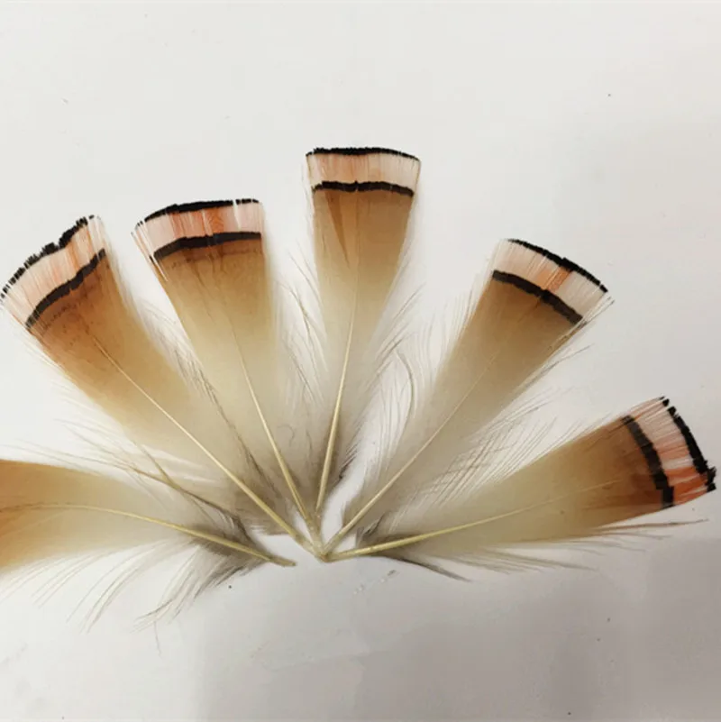 Feather Trim Fringe, 5-8CM 100Pcs/Lot Fan-Shaped Feather, Lady Amherst Pheasant Plumage Feather
Feather Trim Fringe, 5-8CM 100Pcs/Lot Fan-Shaped Feather, Lady Amherst Pheasant Plumage Feather