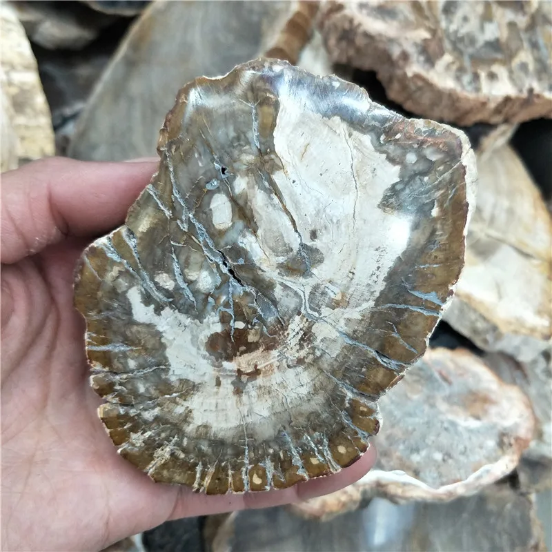 Натуральный камень и хрустальный каменный fossil tree для coaster украшения дома|Камни| |