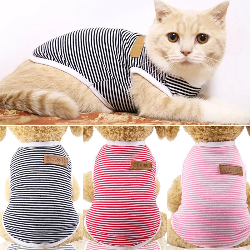 Весна/Лето Одежда для домашних животных котов кошек Котенок классический