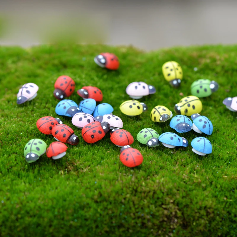 10000Pcs Colorful Mini Home Decor Kid Toys DIY Ladybird Ladybug potted decorative home decor photography props garden decoration
10000Pcs Colorful Mini Home Decor Kid Toys DIY Ladybird Ladybug potted decorative home decor photography props garden decoration