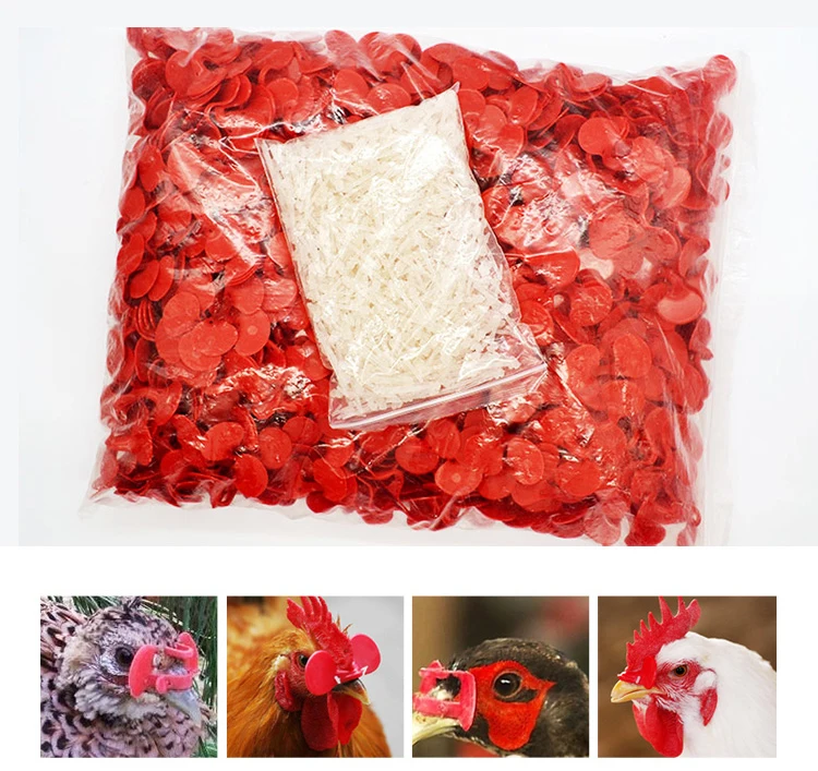 komorebi 500 Products Chicken goggles Chicken tool Perforated Reuse Pheasant Pheasant glasses Chicken farming equipment
komorebi 500 Products Chicken goggles Chicken tool Perforated Reuse Pheasant Pheasant glasses Chicken farming equipment
