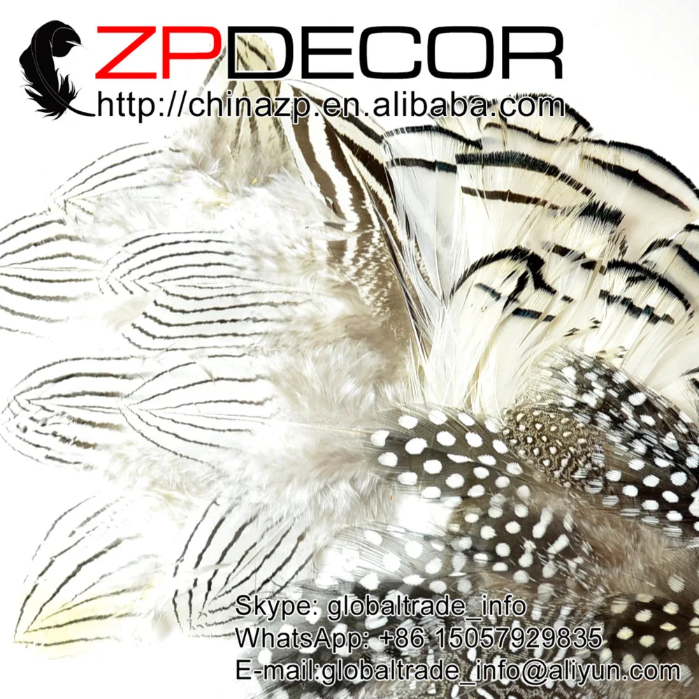 Retail and Wholesale from ZPDECOR 15-20cm(6-8 inches) High Quality Natural White Silver Pheasant Feather
Retail and Wholesale from ZPDECOR 15-20cm(6-8 inches) High Quality Natural White Silver Pheasant Feather