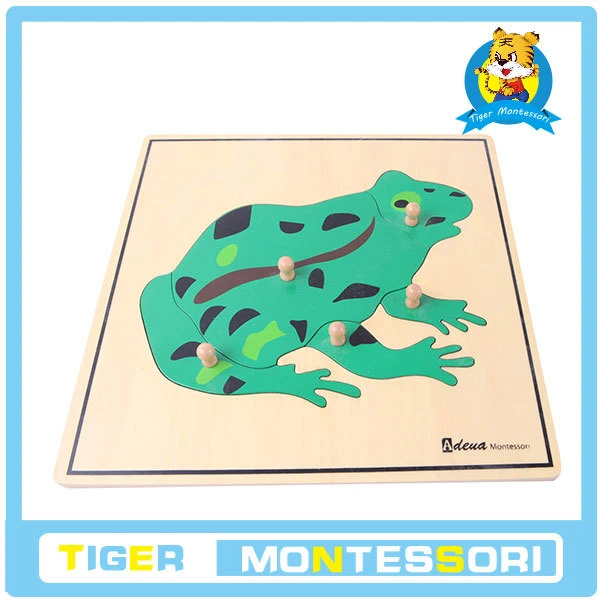 Frog Puzzle wholesale professional montessori material wooden educational toy botany puzzle
Frog Puzzle wholesale professional montessori material wooden educational toy botany puzzle