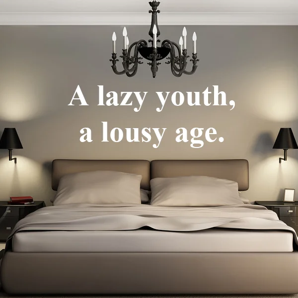 A Lazy Youth A Lousy Age Famous Words Stickers Bedroom Wallpaper Wall Decal Kids Baby Rooms Decor Vinyl Wall
A Lazy Youth A Lousy Age Famous Words Stickers Bedroom Wallpaper Wall Decal Kids Baby Rooms Decor Vinyl Wall
