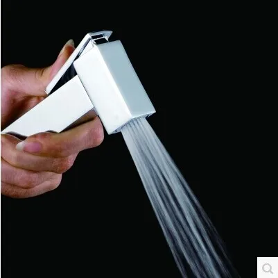 Bathroom Bidet faucet toilet bidet shower set Portable bidet spray with ABS chrome shower holder and 1.5m hose handheld bidet
Bathroom Bidet faucet toilet bidet shower set Portable bidet spray with ABS chrome shower holder and 1.5m hose handheld bidet