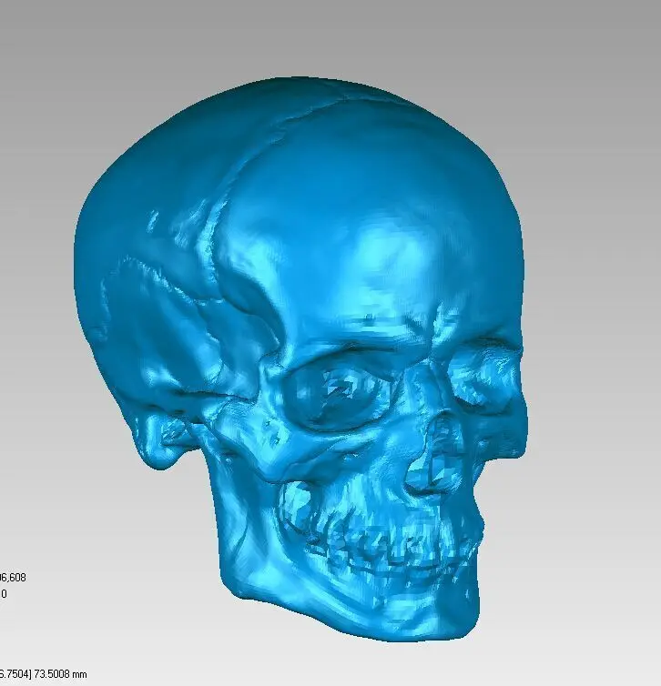 3D model for cnc 3D carved figure sculpture machine in STL file format Skull Head
3D model for cnc 3D carved figure sculpture machine in STL file format Skull Head