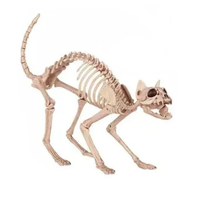 EMS Skeleton Cat 100% Plastic Animal Skeleton Bones for Scary Halloween Decoration
EMS Skeleton Cat 100% Plastic Animal Skeleton Bones for Scary Halloween Decoration