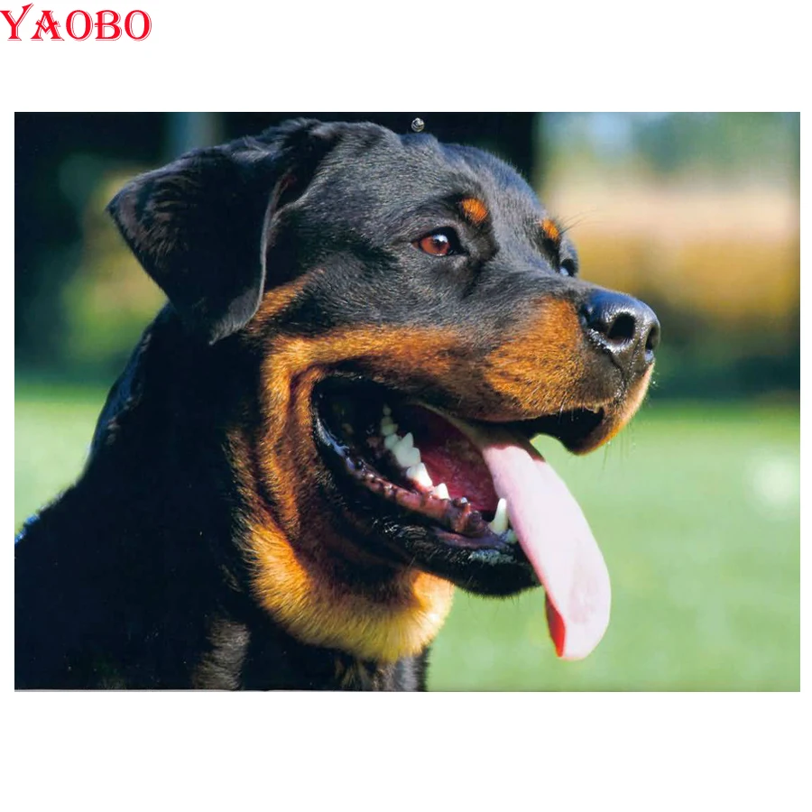 5d diamond painting Rottweiler dog full square round drill diamond embroidery Cross stitch pictures of rhinestones Easter gift
5d diamond painting Rottweiler dog full square round drill diamond embroidery Cross stitch pictures of rhinestones Easter gift