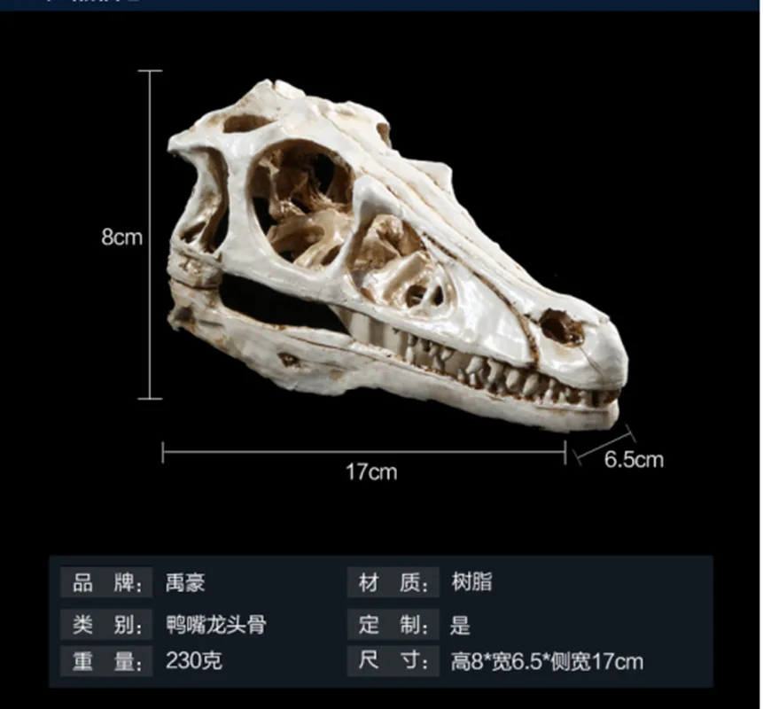 1:1 Duckbill DragonSkull Model Animal Skeleton Halloween Decoration Skull Statues Decoration Skull Statue Animal Skeleton Model
1:1 Duckbill DragonSkull Model Animal Skeleton Halloween Decoration Skull Statues Decoration Skull Statue Animal Skeleton Model