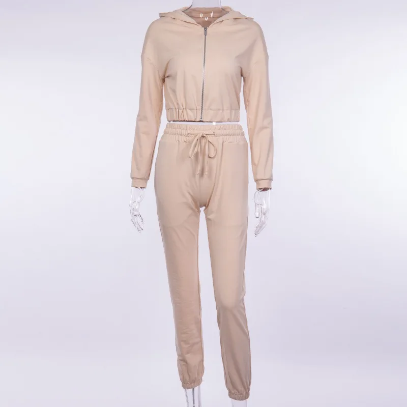 High Quality Hoodie Top With Pants Women Autumn Winter Tracksuits Women Suits
High Quality Hoodie Top With Pants Women Autumn Winter Tracksuits Women Suits
