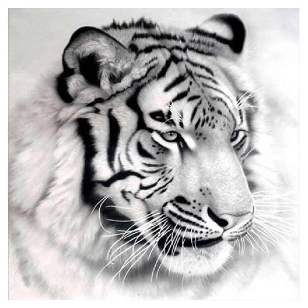 Full embroidery diamond mosaic icon 5d diy diamond painting animal handmand home decor Crafts diamond embroidery Tiger
Full embroidery diamond mosaic icon 5d diy diamond painting animal handmand home decor Crafts diamond embroidery Tiger