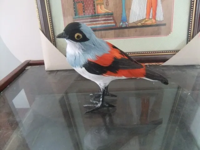 simulation Shrike bird 17x15cm Handmade model,polyethylene&furs feathers bird ,Prop,home decoration toy Xmas gift w4107
simulation Shrike bird 17x15cm Handmade model,polyethylene&furs feathers bird ,Prop,home decoration toy Xmas gift w4107