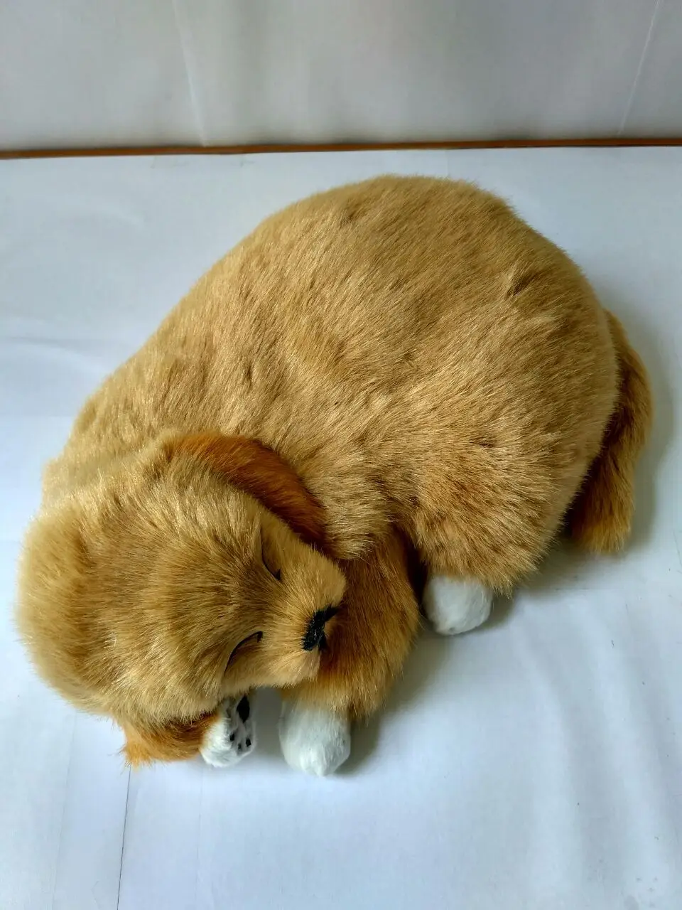 cute simulation sleeping dog model polyethylene & furs yellow dog doll gift about 24x17cm 1533
cute simulation sleeping dog model polyethylene & furs yellow dog doll gift about 24x17cm 1533