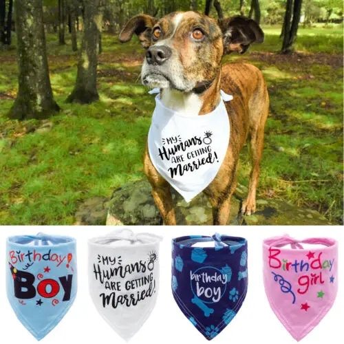 Новый мягкий симпатичный шарф для собак модные банданы шейный платок для кошек и щенков аксессуары для воротника
Новый мягкий симпатичный шарф для собак модные банданы шейный платок для кошек и щенков аксессуары для воротника