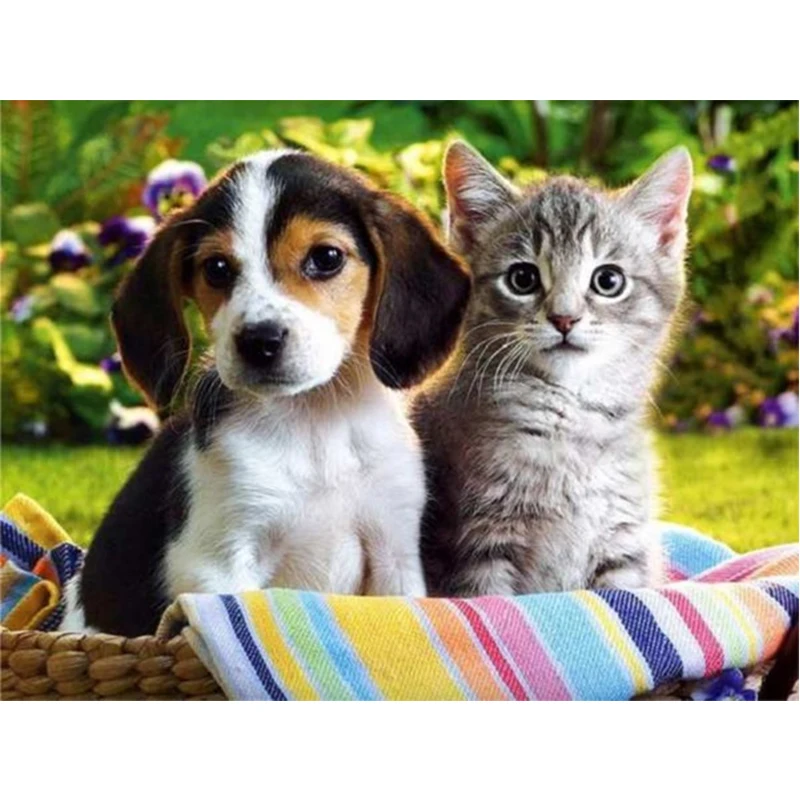 5D,Diamond Embroidery,Dog&Cat,Pictures,DIY,Beautiful ,Animal Series,Diamond Mosaic,Needlework,Cross Stitch Kits,Home Decor
5D,Diamond Embroidery,Dog&Cat,Pictures,DIY,Beautiful ,Animal Series,Diamond Mosaic,Needlework,Cross Stitch Kits,Home Decor