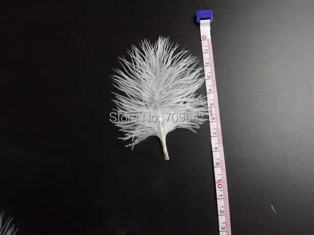 200pcs/lot!5-10cm long WHITE Ostrich Small Confetti Feathers,Confetti Feathers,Small Feathers,White feathers for wedding
200pcs/lot!5-10cm long WHITE Ostrich Small Confetti Feathers,Confetti Feathers,Small Feathers,White feathers for wedding